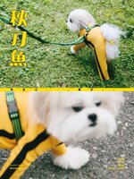 qdymag 秋刀魚
